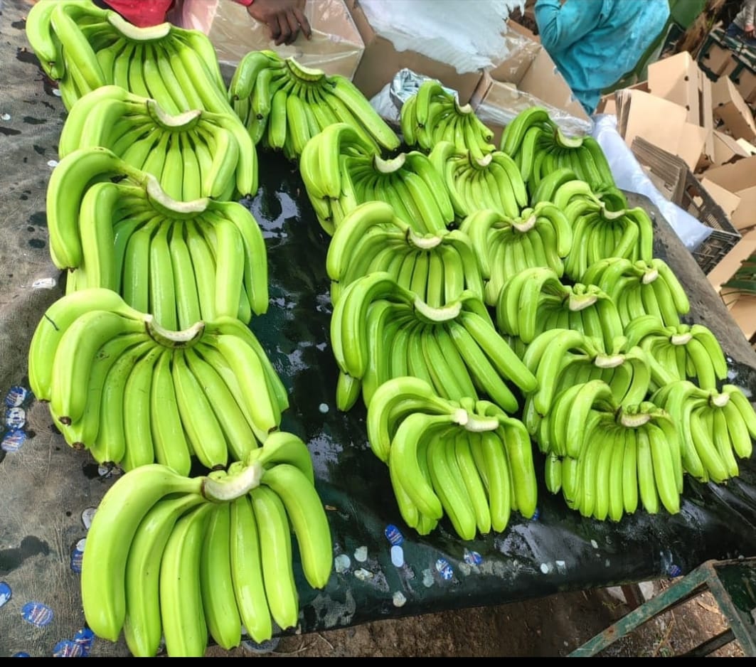 bannana6