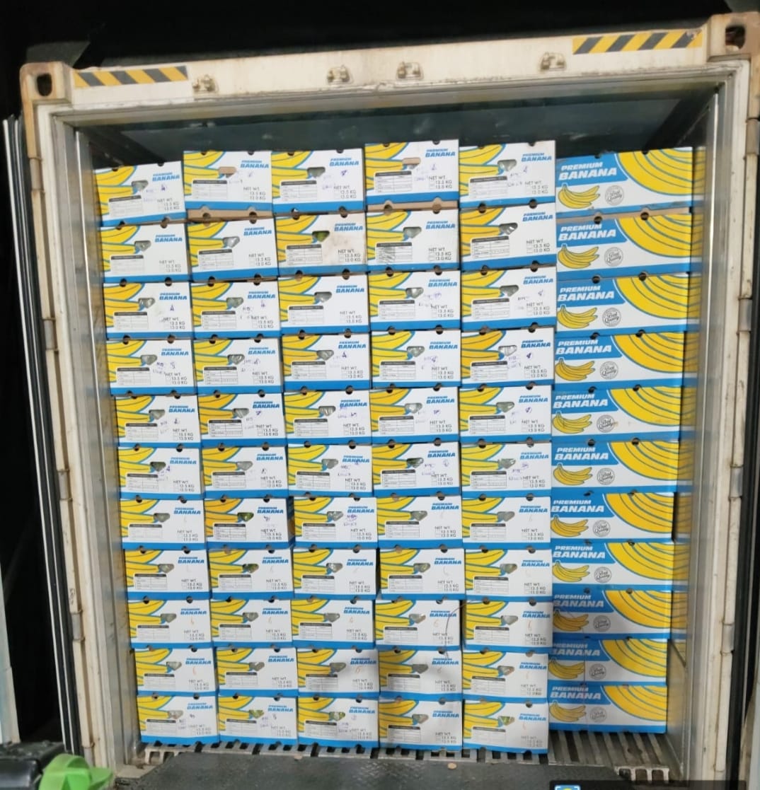 bannana8