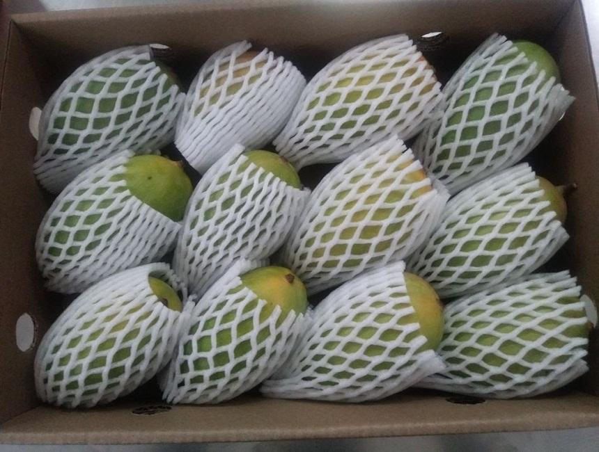 mango-product-1